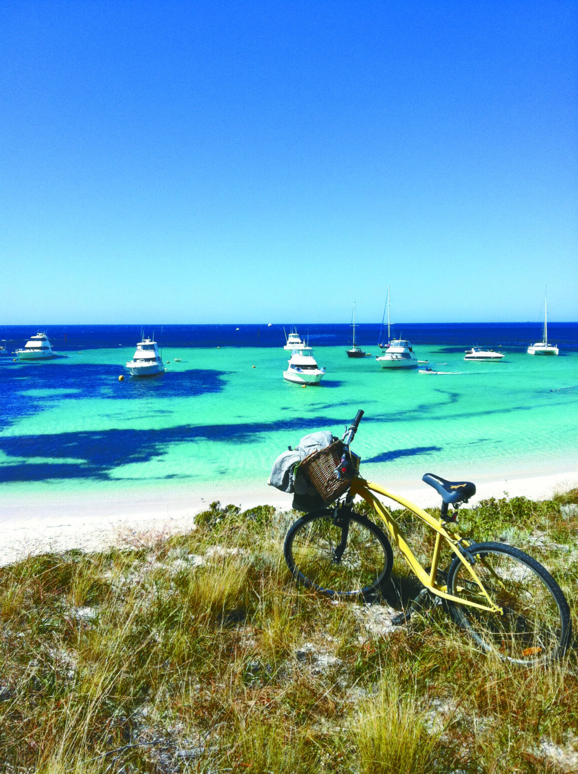 Rottnest Island Authority - Detail