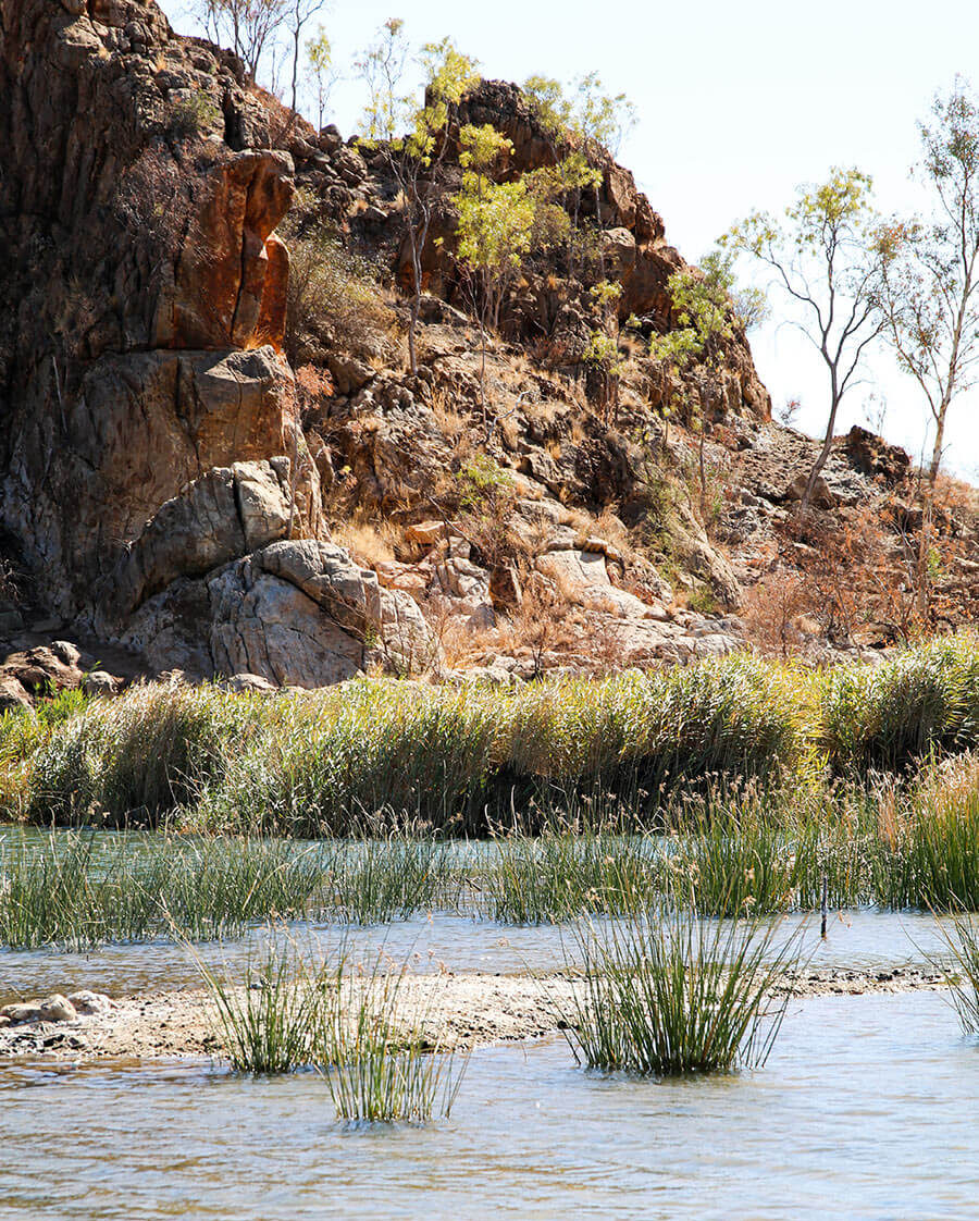 Larapinta Trail
