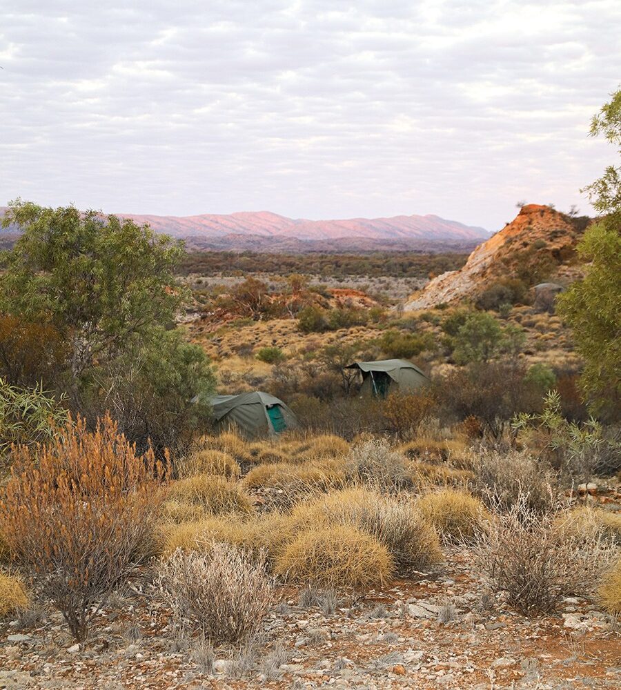 Larapinta Trail